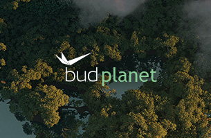 BUD Planet weboldal fejlesztés és kampány